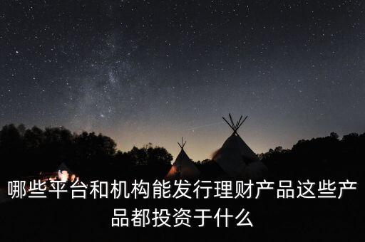 哪些平臺和機(jī)構(gòu)能發(fā)行理財產(chǎn)品這些產(chǎn)品都投資于什么