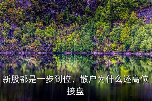 新股都是一步到位，散戶為什么還高位接盤