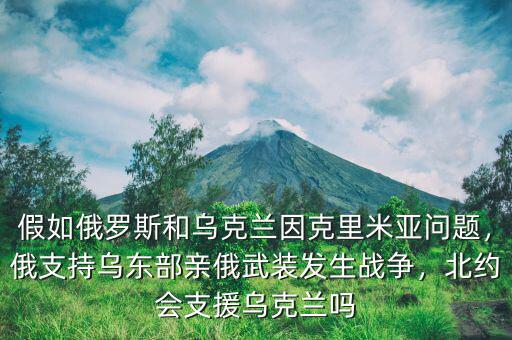 假如俄羅斯和烏克蘭因克里米亞問題，俄支持烏東部親俄武裝發(fā)生戰(zhàn)爭(zhēng)，北約會(huì)支援烏克蘭嗎