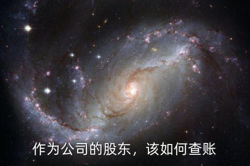 作為公司的股東，該如何查賬