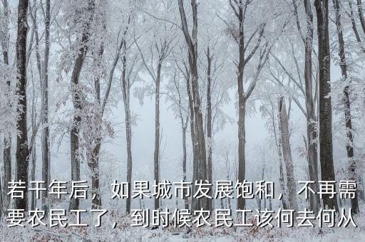 若干年后，如果城市發(fā)展飽和，不再需要農(nóng)民工了，到時(shí)候農(nóng)民工該何去何從