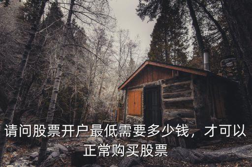 請問股票開戶最低需要多少錢，才可以正常購買股票