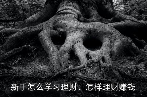 新手怎么學(xué)習(xí)理財(cái)，怎樣理財(cái)賺錢