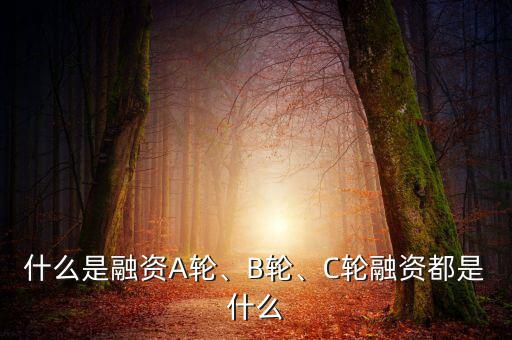 什么是融資A輪、B輪、C輪融資都是什么