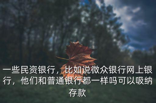 一些民資銀行，比如說微眾銀行網(wǎng)上銀行，他們和普通銀行都一樣嗎可以吸納存款