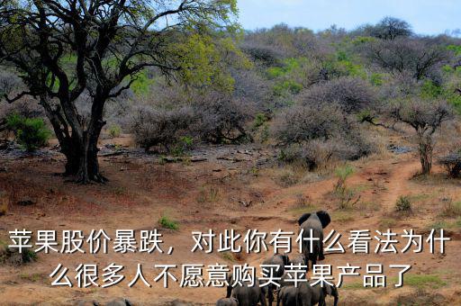 蘋(píng)果股價(jià)暴跌，對(duì)此你有什么看法為什么很多人不愿意購(gòu)買(mǎi)蘋(píng)果產(chǎn)品了