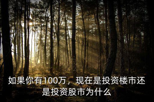 如果你有100萬，現(xiàn)在是投資樓市還是投資股市為什么