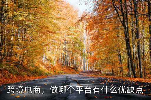 跨境電商，做哪個平臺有什么優(yōu)缺點