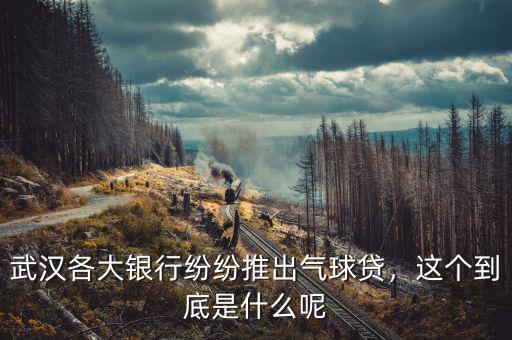 武漢各大銀行紛紛推出氣球貸，這個到底是什么呢
