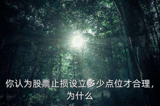 你認(rèn)為股票止損設(shè)立多少點(diǎn)位才合理，為什么