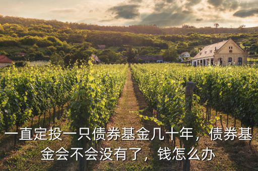 一直定投一只債券基金幾十年，債券基金會(huì)不會(huì)沒有了，錢怎么辦