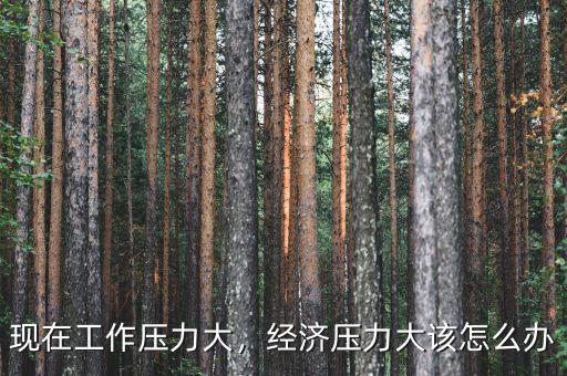 現(xiàn)在工作壓力大，經(jīng)濟(jì)壓力大該怎么辦