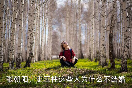張朝陽，史玉柱這些人為什么不結(jié)婚