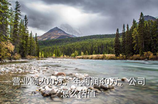 營(yíng)業(yè)額200萬(wàn)，年利潤(rùn)40萬(wàn)，公司怎么估值