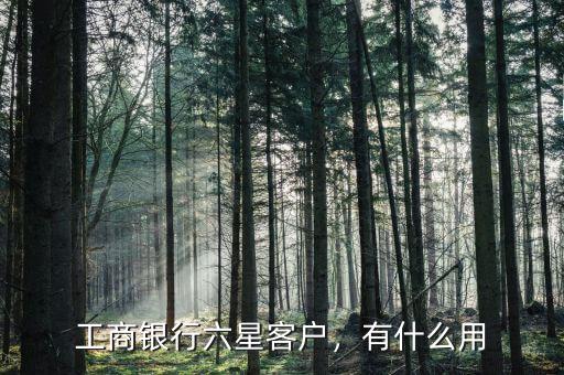 工商銀行六星客戶，有什么用
