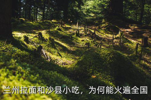 蘭州拉面和沙縣小吃，為何能火遍全國(guó)