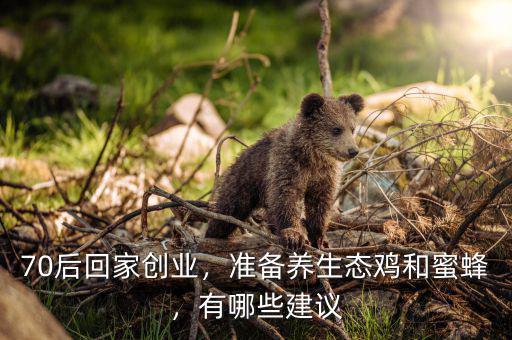 70后回家創(chuàng)業(yè)，準(zhǔn)備養(yǎng)生態(tài)雞和蜜蜂，有哪些建議