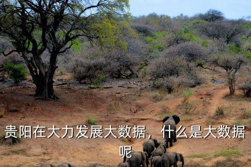 貴陽(yáng)在大力發(fā)展大數(shù)據(jù)，什么是大數(shù)據(jù)呢