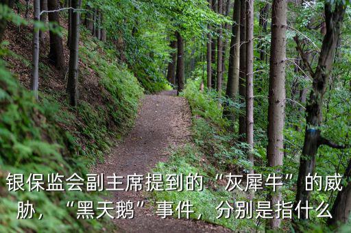 銀保監(jiān)會副主席提到的“灰犀?！钡耐{，“黑天鵝”事件，分別是指什么