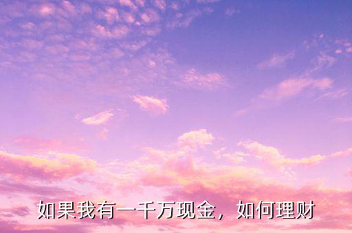 如果我有一千萬現(xiàn)金，如何理財