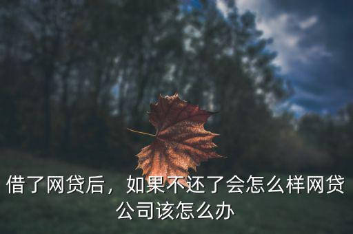 借了網貸后，如果不還了會怎么樣網貸公司該怎么辦