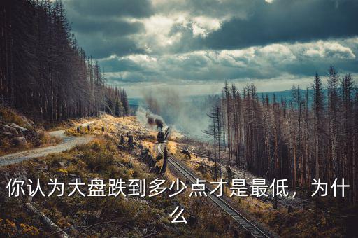 你認(rèn)為大盤(pán)跌到多少點(diǎn)才是最低，為什么