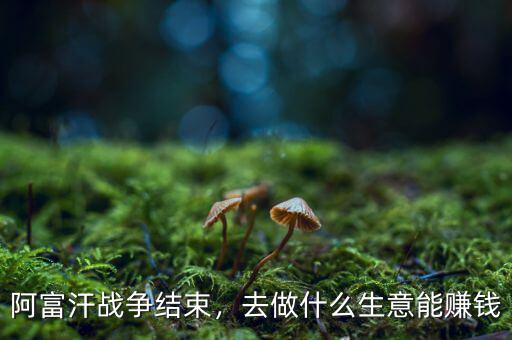 阿富汗戰(zhàn)爭結(jié)束，去做什么生意能賺錢