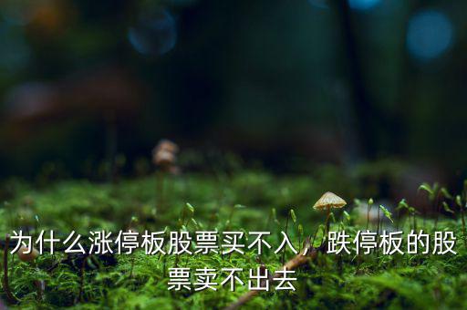 為什么漲停板股票買不入，跌停板的股票賣不出去