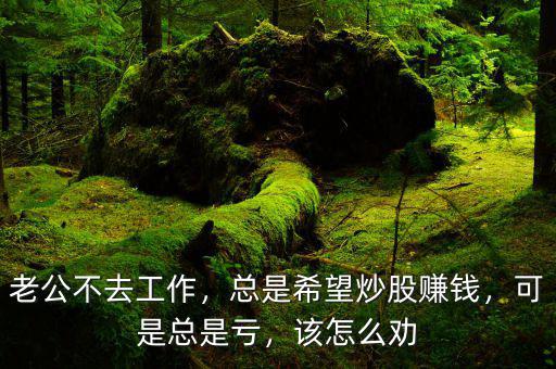 老公不去工作，總是希望炒股賺錢(qián)，可是總是虧，該怎么勸