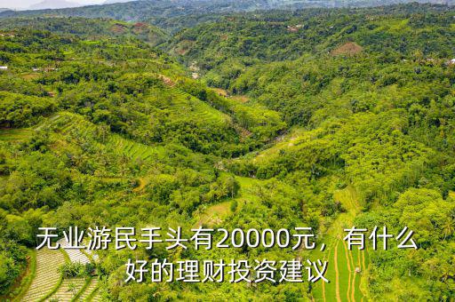 無業(yè)游民手頭有20000元，有什么好的理財(cái)投資建議