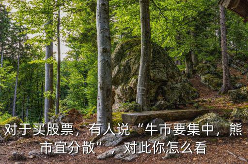 對于買股票，有人說“牛市要集中，熊市宜分散”，對此你怎么看