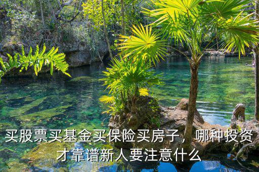 買股票買基金買保險買房子，哪種投資才靠譜新人要注意什么