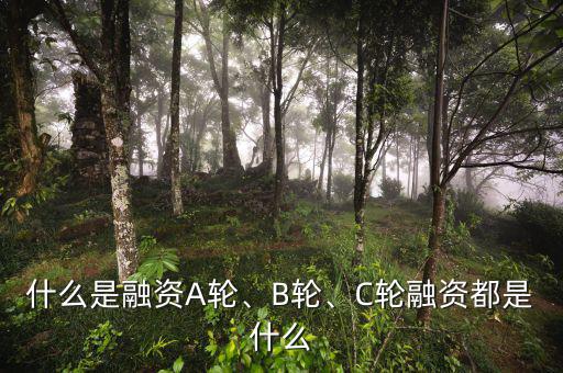 什么是融資A輪、B輪、C輪融資都是什么