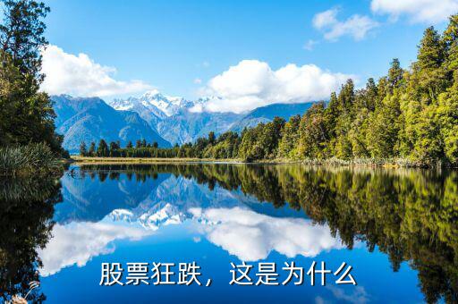 股票狂跌，這是為什么