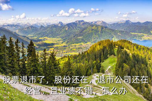 股票退市了，股份還在，退市公司還在經(jīng)營，且業(yè)績不錯，怎么辦