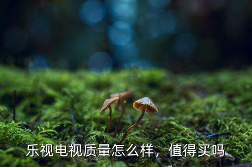 樂視電視質(zhì)量怎么樣，值得買嗎