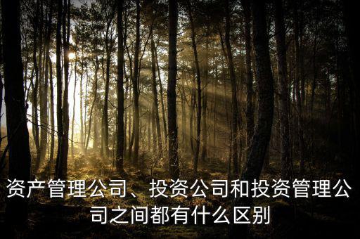 資產(chǎn)管理公司、投資公司和投資管理公司之間都有什么區(qū)別