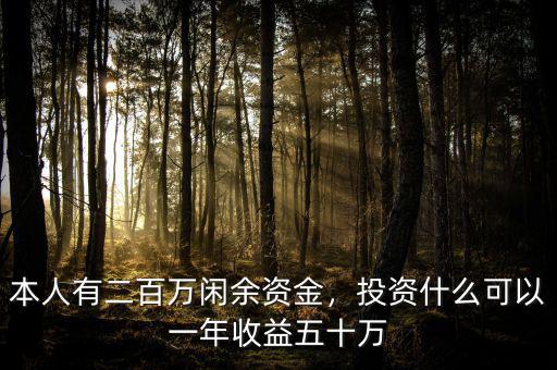 本人有二百萬(wàn)閑余資金，投資什么可以一年收益五十萬(wàn)