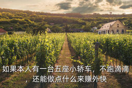 如果本人有一臺五座小轎車，不跑滴滴，還能做點(diǎn)什么來賺外快