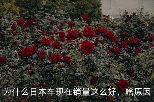 為什么日本車現(xiàn)在銷量這么好，啥原因