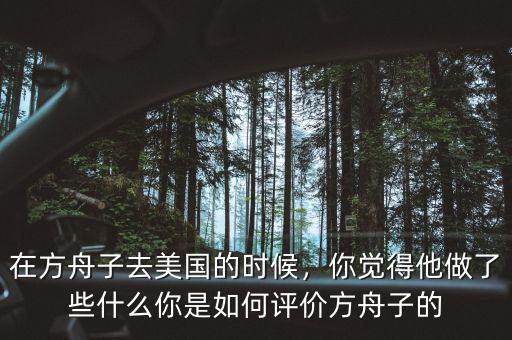 在方舟子去美國的時候，你覺得他做了些什么你是如何評價方舟子的