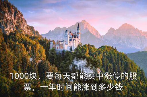 1000塊，要每天都能買中漲停的股票，一年時間能漲到多少錢