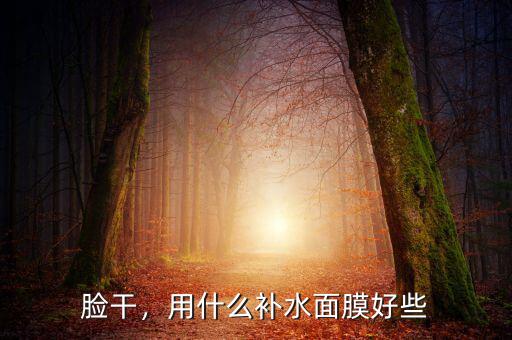 臉干，用什么補水面膜好些
