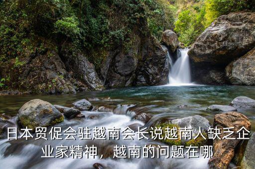 日本貿(mào)促會駐越南會長說越南人缺乏企業(yè)家精神，越南的問題在哪