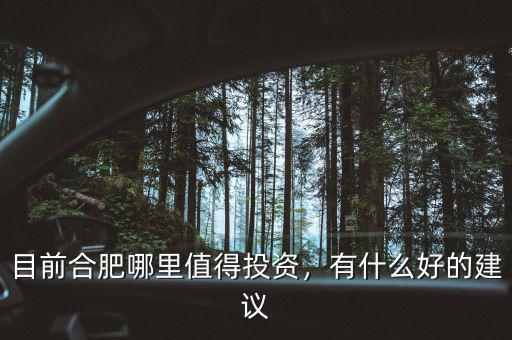 目前合肥哪里值得投資，有什么好的建議
