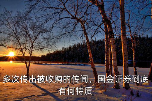 多次傳出被收購的傳聞，國金證券到底有何特質