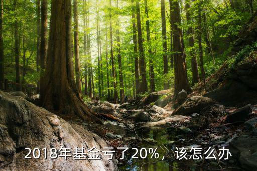 2018年基金虧了20%，該怎么辦