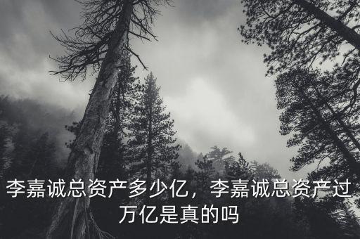 李嘉誠總資產(chǎn)多少億，李嘉誠總資產(chǎn)過萬億是真的嗎