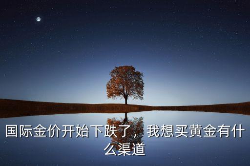 國(guó)際金價(jià)開(kāi)始下跌了，我想買(mǎi)黃金有什么渠道