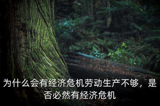 為什么會(huì)有經(jīng)濟(jì)危機(jī)勞動(dòng)生產(chǎn)不夠，是否必然有經(jīng)濟(jì)危機(jī)
